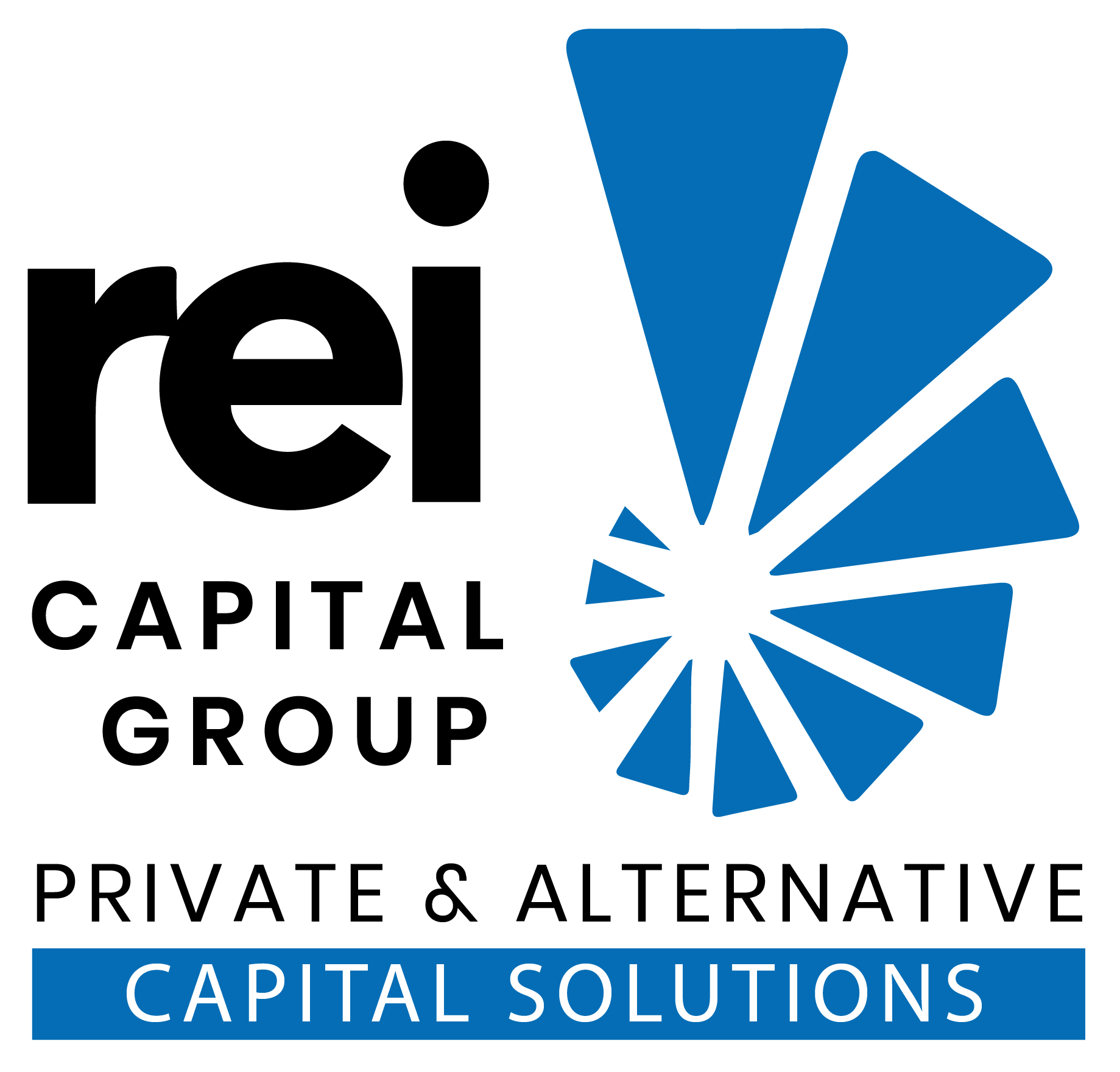 Rei Capital Group Private & Alternative Capital Solution (2)